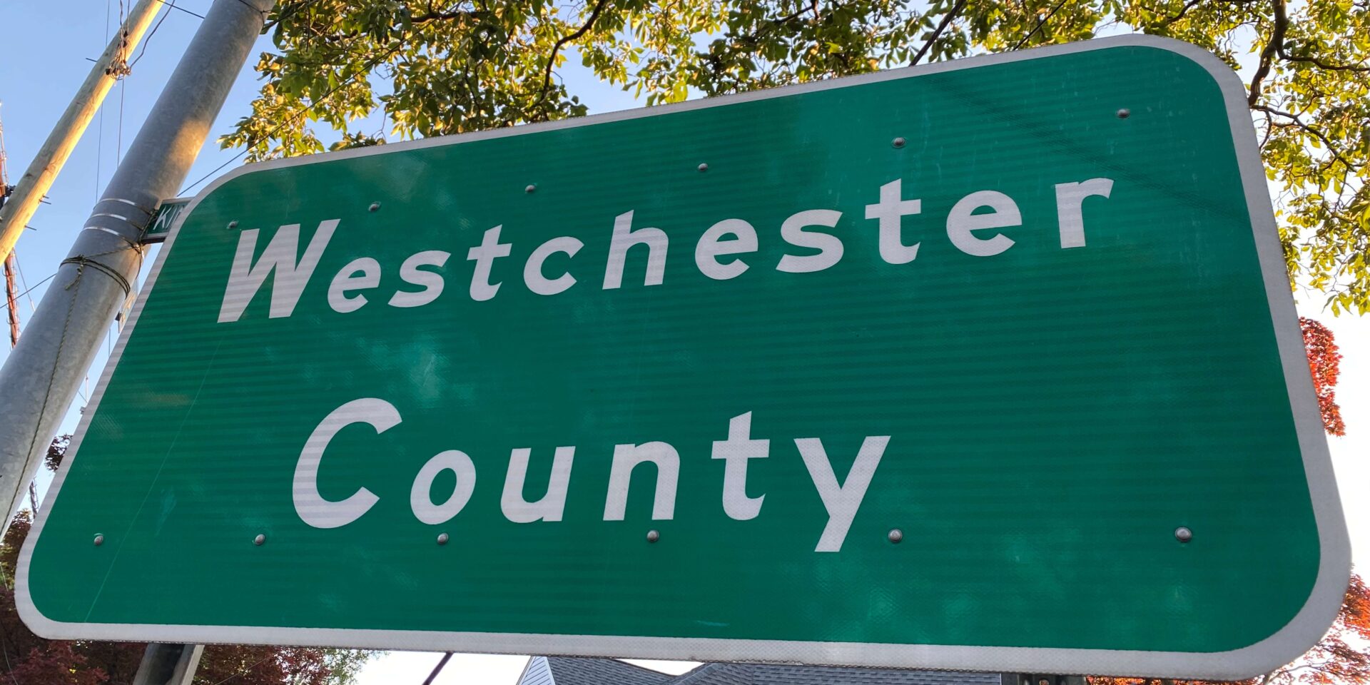 How to Change a Registered Agent in Westchester, NY