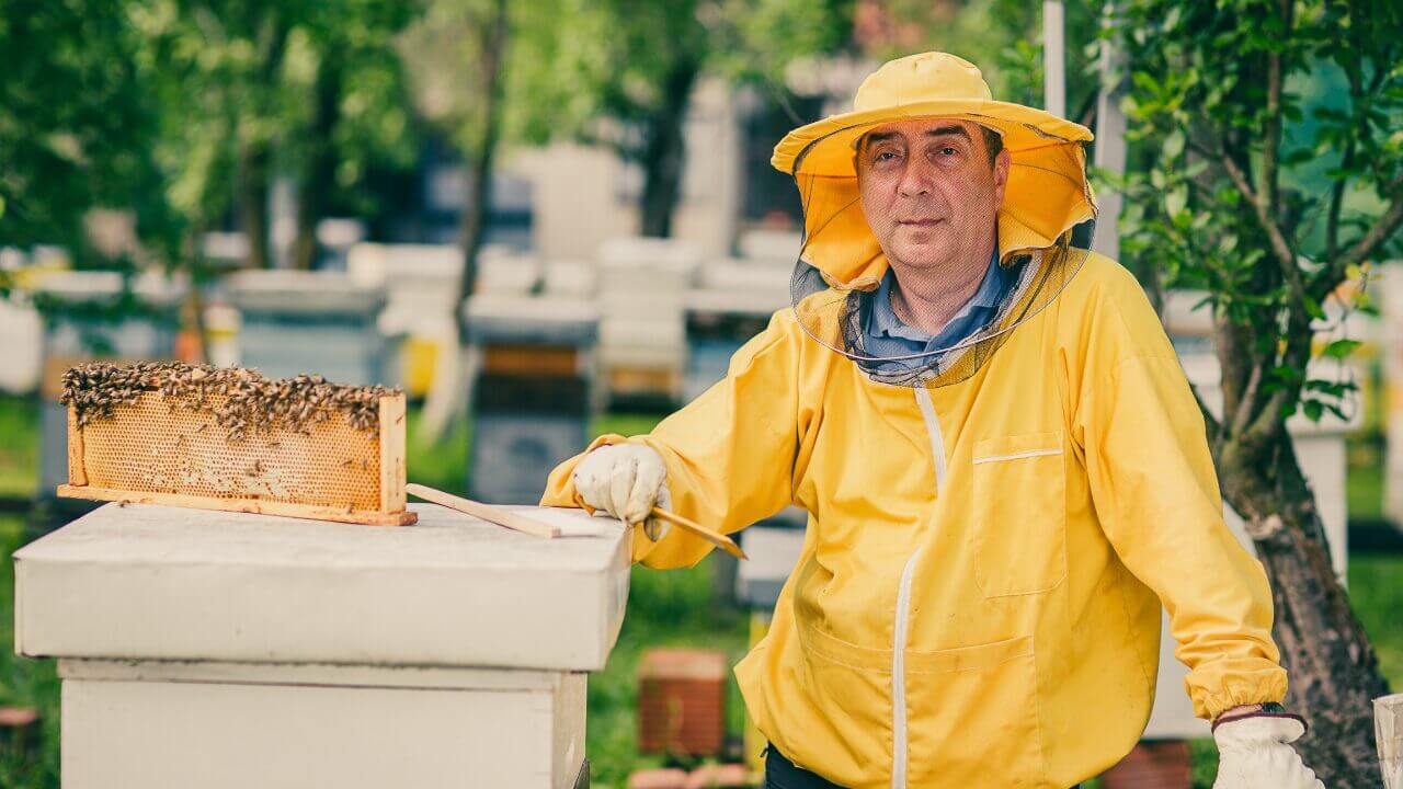 How to Start a Beekeeping Business