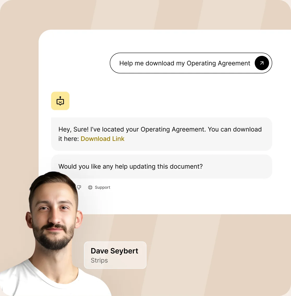 Home doola AI Co-Founder chat answering a founder question