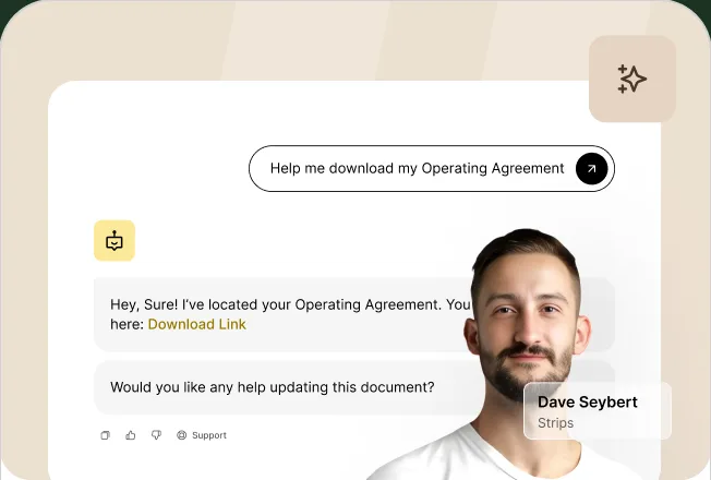 Home doola AI Co-Founder chat answering a founder question